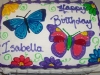 animal-butterflies-00027